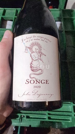 Beaujolais Moulin-à-vent Jules Desjourneys Songe 2020