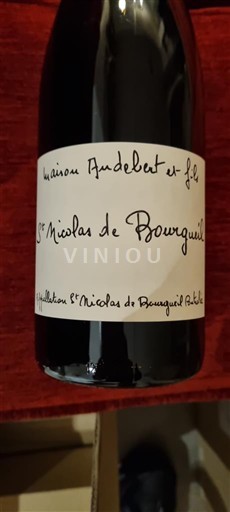 Loiredalen Saint-Nicolas-De-Bourgueil Maison Audebert et Fils 2020