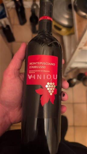 Abruzzo Wines Montepulciano d'Abruzzo Connais pas 2016