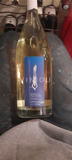 Provansa Côtes-de-Provence Domaine Des Trois Chênes Plongée 2023