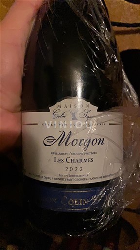 Beaujolais Morgon Maison Colette Saget Les Charmes 2022