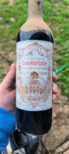 Bordeaux Lussac-saint-émilion Château Lussac 2002