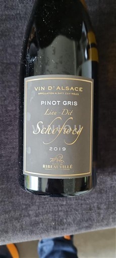 Alsace Ribeauvillé Lieu Dit Schofweg 2019