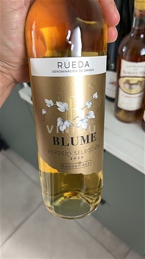 Castilien og León Rueda Pagos del Rey Verdejo Selección 2020