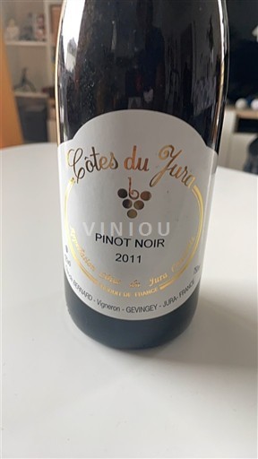 Жура Кот-де-Жюра Domaine Gérard 2011