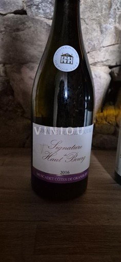 Thung lũng sông Loire Muscadet-côtes-de-grand-lieu Domaine Haut Bourg Signature Haut Bourg 2016