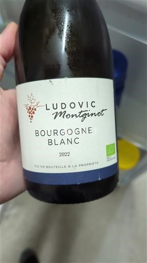Bourgogne Ikke specificeret Ludovic Montginot 2022