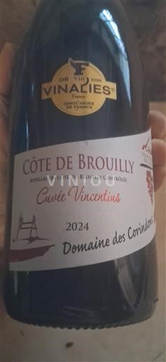 Beaujolais Côte-de-Brouilly Domaine Des Corindons Vincentius 2024