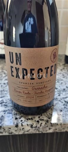 Aragon Campo de Borja Spanish Vineyard Unexpected 2024