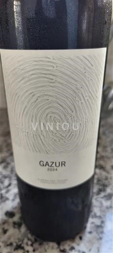Castille et León Ribera del Duero Bodegas y Viñedos Alnardo Gazur 2024