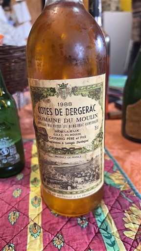 Sudoeste Côtes de Bergerac Domaine Moulin 1988