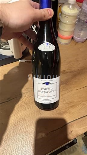 Burgundy Coteaux Bourguignons Domaine Verret 2019