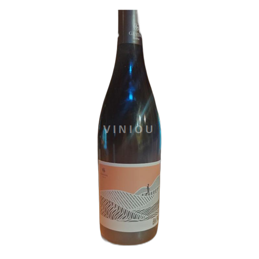 Languedoc-Roussillon Pays d'Oc Domaine Gayda En Passant 2022