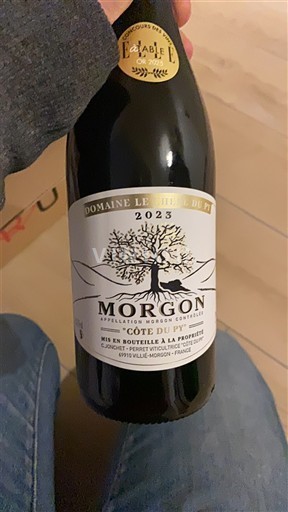 Beaujolais Morgon Domaine Le Fagolet Côte du Py 2023