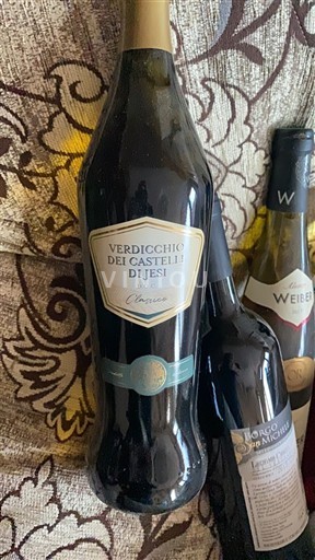 Marche Wines Verdicchio dei Castelli di Jesi Classico 2020
