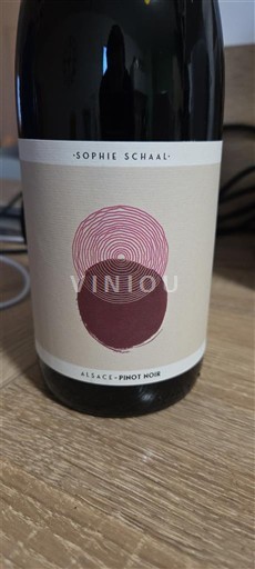 Alsacia Sophie Schaal 2024