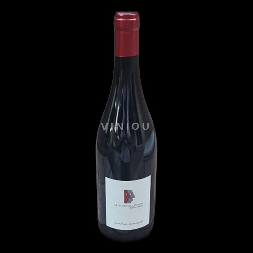 Thung lũng sông Loire Saint-Nicolas-De-Bourgueil Frédéric Mabileau Les Rouillères 2023