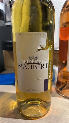 Sud-Ouest Côtes de Gascogne Domaine Maubert 2010