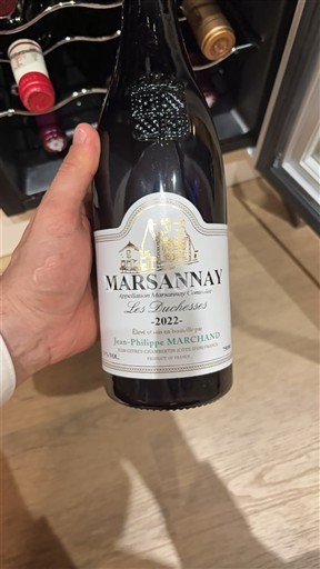 Burgundsko Marsannay Jean-Philippe Marchand Les Nucheres 2022