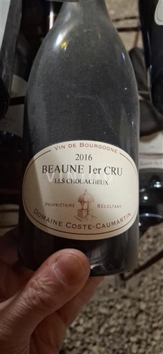 Bourgogne Beaune Premier Cru Domaine Coste-Caumartin Les Chouacheux 2016