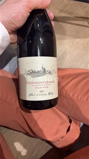 Burgundy Nuits-Saint-Georges Gilbert et Christine Hugot Vieilles Vignes 2021