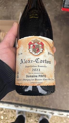 Burgundia Aloxe-Corton Domaine PINTE 2023