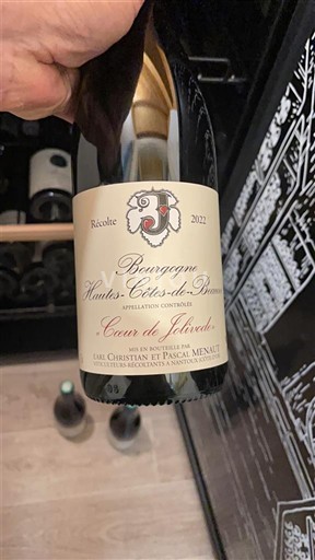 Bourgogne Domaine Christian et Pascal Menaut Cœur de Jolivode 2022