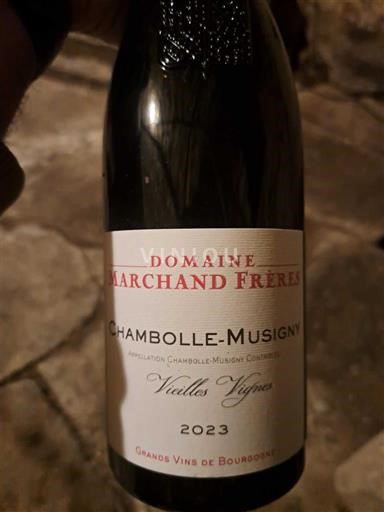 Bourgogne Chambolle-Musigny Domaine Marchand Frères Vieilles Vignes 2023