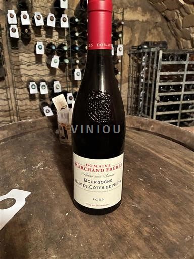 Bourgogne Hautes Côtes de nuits Domaine Marchand Frères 2023