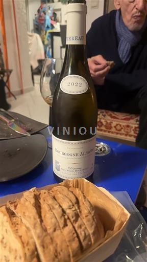 Borgoña Borgoña-Aligoté Domaine Tissier 2022