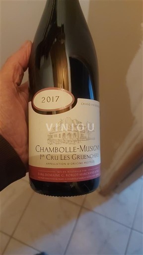 Burgundy Not Specified Premier Cru Domaine Gille Chambolle-Musigny 1er Cru Les Gruenchers 2017