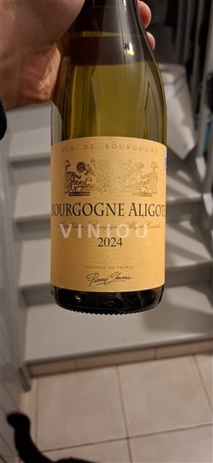 Burgundsko Bourgogne-aligoté Pierre Chaven 2024