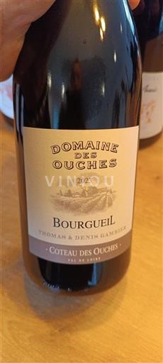 Vale do Loire Bourgueil Domaine Des Ouches Coteau des Ouches 2023