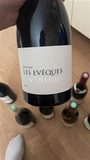Burgundsko Les Evêques Côtes de Toul 2020