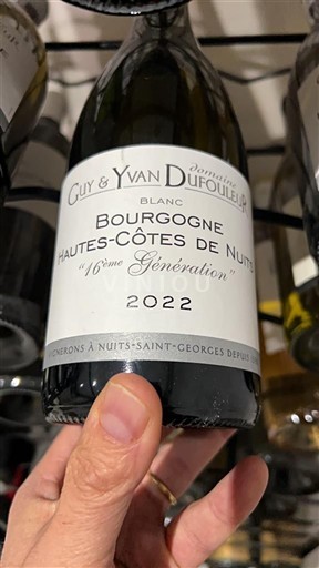 Burgund Nicht spezifiziert Domaine Guy & Yvan Dufouleur 16ème Génération 2022