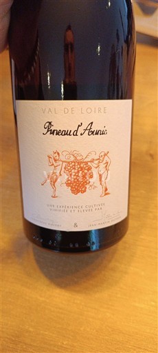 Thung lũng sông Loire Thung lũng Loire Christophe Baudry & Jean-Martin Dutour Pineau d'Aunis 2023