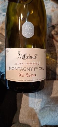 Bourgogne Ikke specificeret Premier Cru Millebuis Les Coères 2022