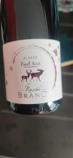 Alsacia Maxime Brand 2024