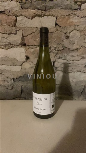 Thung lũng sông Loire Coteaux-du-Loir Domaine Gigou 2023