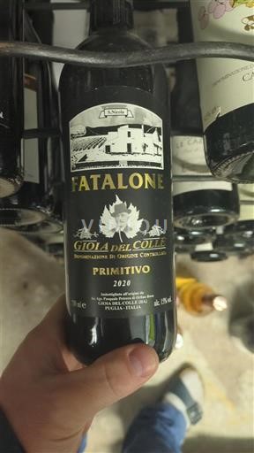 Apulia Gioia del Colle Fatalone 2020