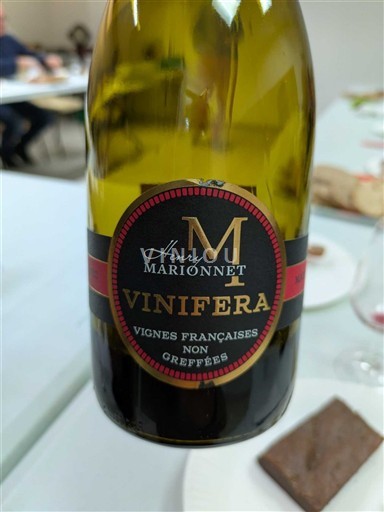 Thung lũng sông Loire Touraine Henry Marionnet Vinifera 2022