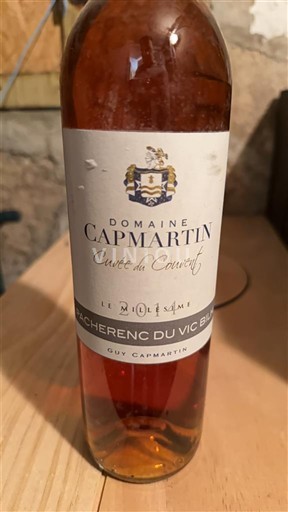 Sudoeste Pacherenc-du-vic-bilh Domaine Capmartin du Couret 2014