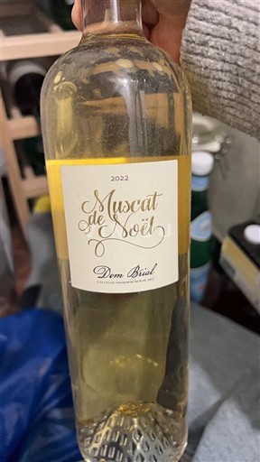 Languedoc Not Specified Muscat de Noël 2022
