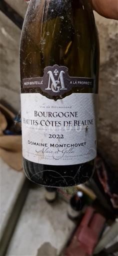 Bourgogne Ospecificerad Domaine Montchovet 2022