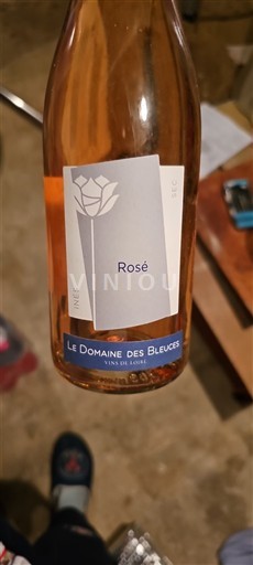 Beaujolais Ikke specificeret Domaine Le des Bleuces Ines 2018