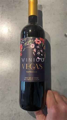 Castile and León Unspecified Vegas 2021