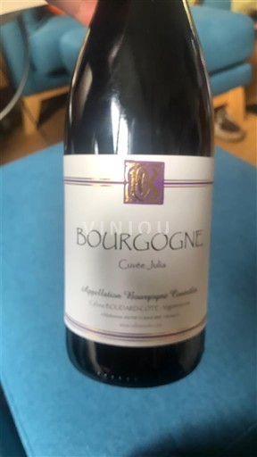 Burgundsko Domaine Roulleau Julia 2022