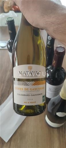 Tây Nam Côtes de Gascogne Matayac Colombard-Sauvignon 2024