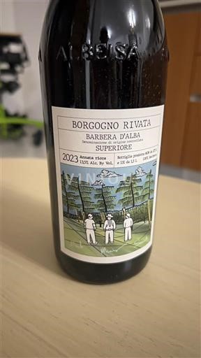 Piemonte Barbera d'Alba Borgogno-Rivata 2023