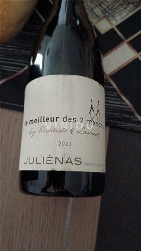 Beaujolais Juliénas Le meilleur des 2 mondes 2022